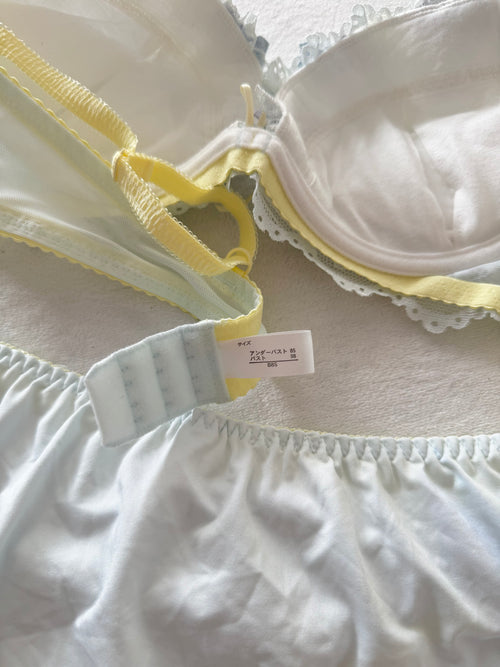 Japanese Blue Floral Lingerie Set 85B (Pre-order other sizes in description)