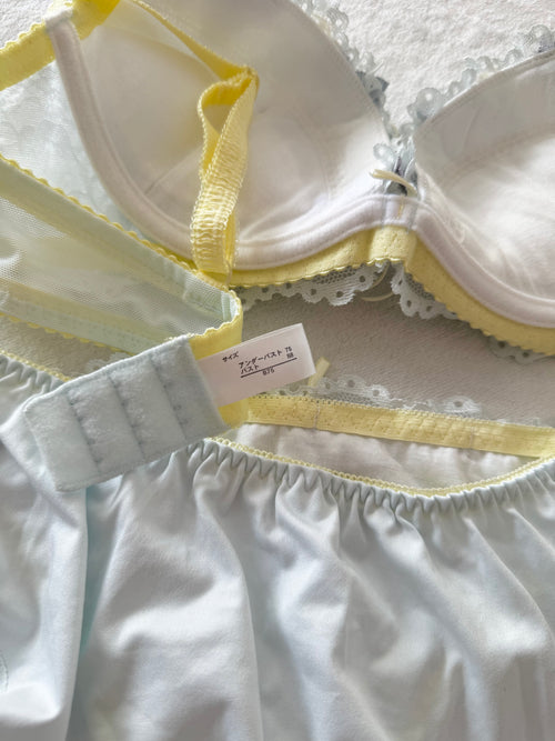 Japanese Blue Floral Lingerie Set Size 75B (Pre-order other sizes in description)