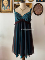 Whimsical Blue Brown Babydoll size M