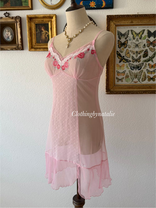 Rose Pink Sheer Mesh Slip Size S