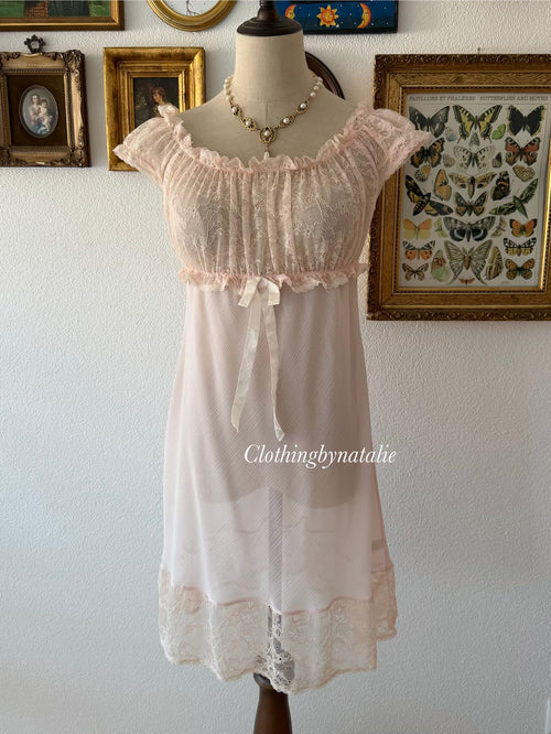 Fairy Pink Sheer Chiffon Lace Slip Size S