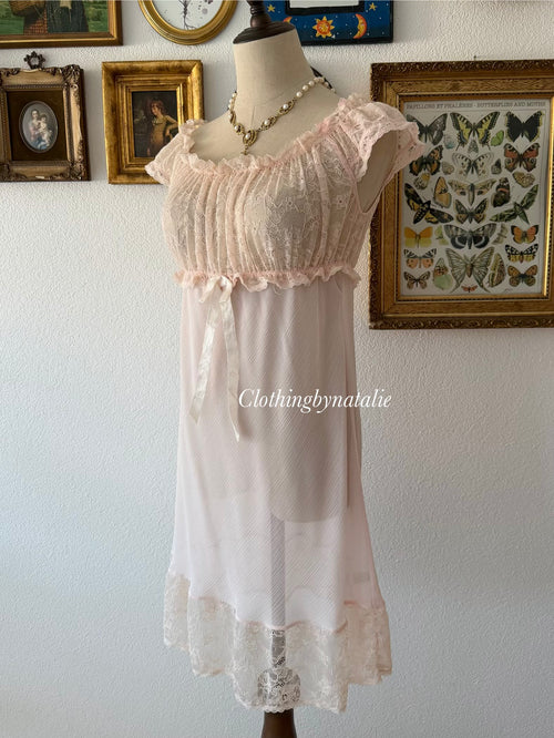 Fairy Pink Sheer Chiffon Lace Slip Size S